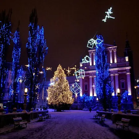 Rok's Mini Penthouse