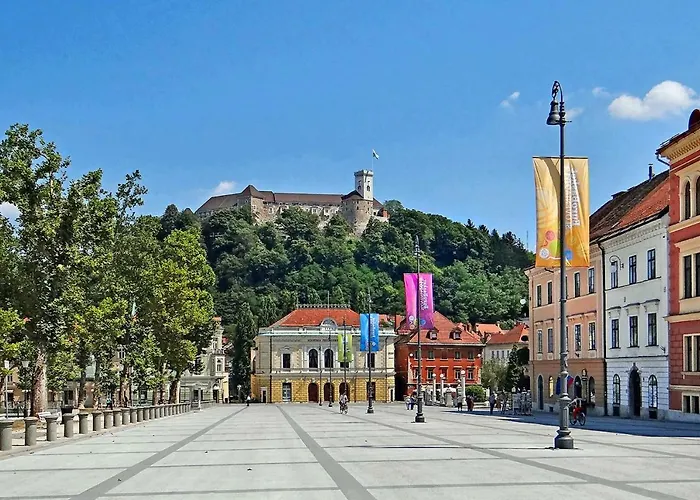 Rok's Mini Penthouse